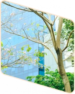 outside view of the building